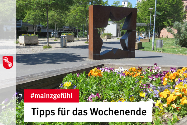 Ein buntes Blumenbeet in Mainz. © Landeshauptstadt Mainz