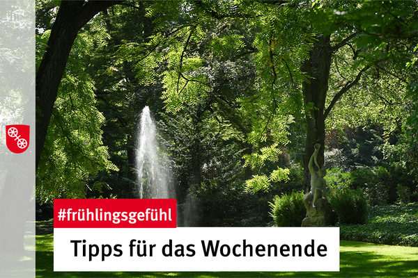 Ein grüner Park in Mainz. © Landeshauptstadt Mainz