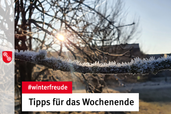 Ein frostiger Morgen in Mainz. © Landeshauptstadt Mainz