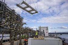 Bildergalerie Rathaussanierung April 2025 BauDoku Rathaussanierung Mainz - 01.04.2025