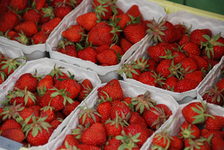 Bildergalerie Wochenmarkt Erdbeeren Erdbeeren gehören in der Sommerzeit unbedingt zum Angebot auf dem Mainzer Wochenmarkt