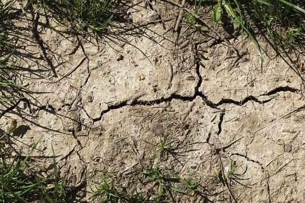Trockenheit verdichtet den Boden © pixabay