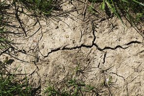 Trockenheit verdichtet den Boden © pixabay