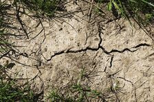 Trockenheit verdichtet den Boden