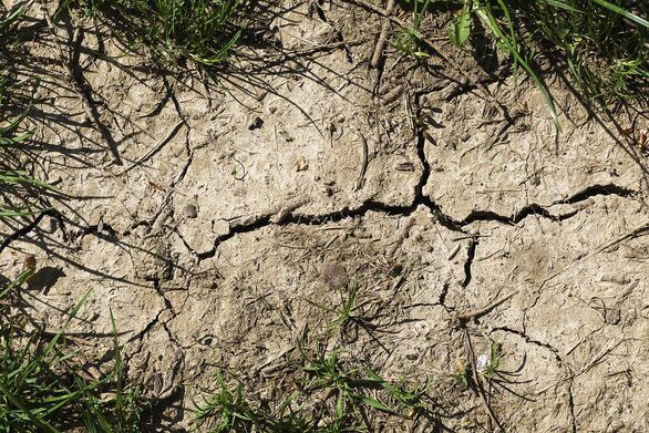 Trockenheit verdichtet den Boden
