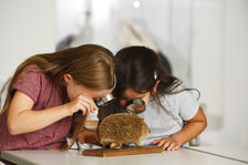 Kinder im Naturhistorischen Museum