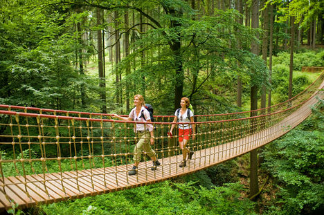 Wanderer auf einer Hängebrücke im Binger Wald