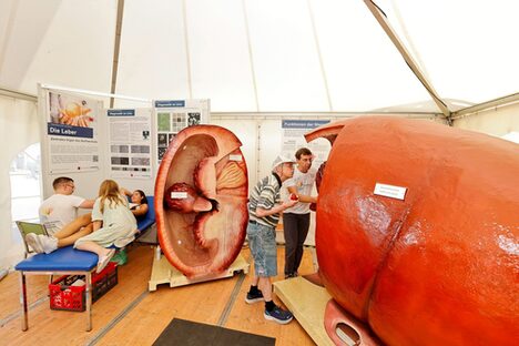 Mehrere Erwachsene und Kinder betrachten einen leuchtenden Kasten.