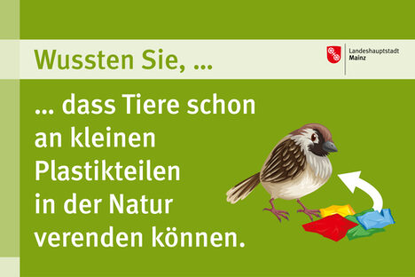 Tiere können schon an kleinen Plastikteilen in der Natur verenden.